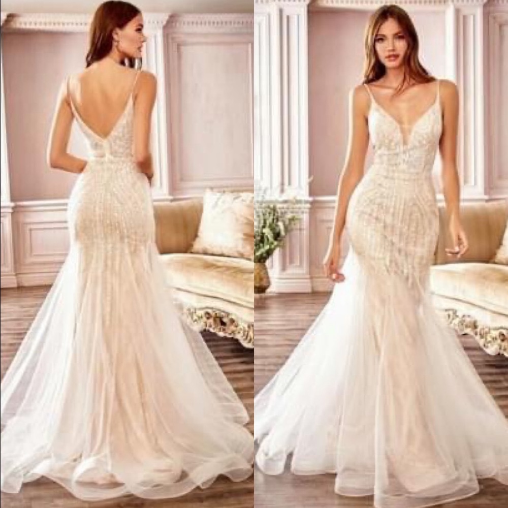 CINDERELLA DIVINE Mermaid Sheer Tulle Ivory Dress